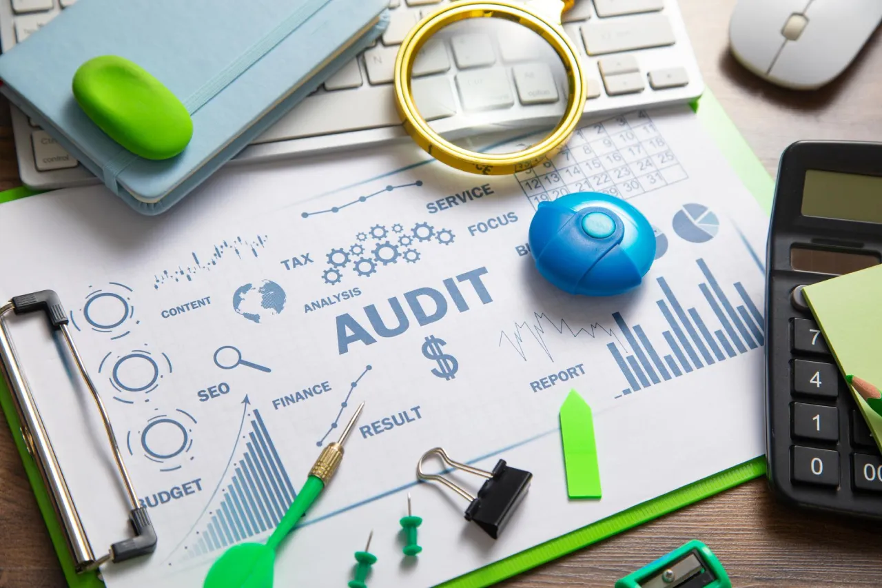 Audit professionals ensuring compliance and risk management.